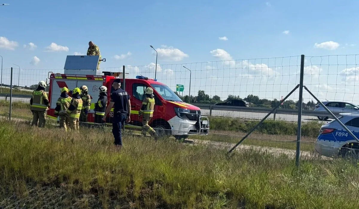 Interwencja policji w Konstantynowie: ratunek dla sarny