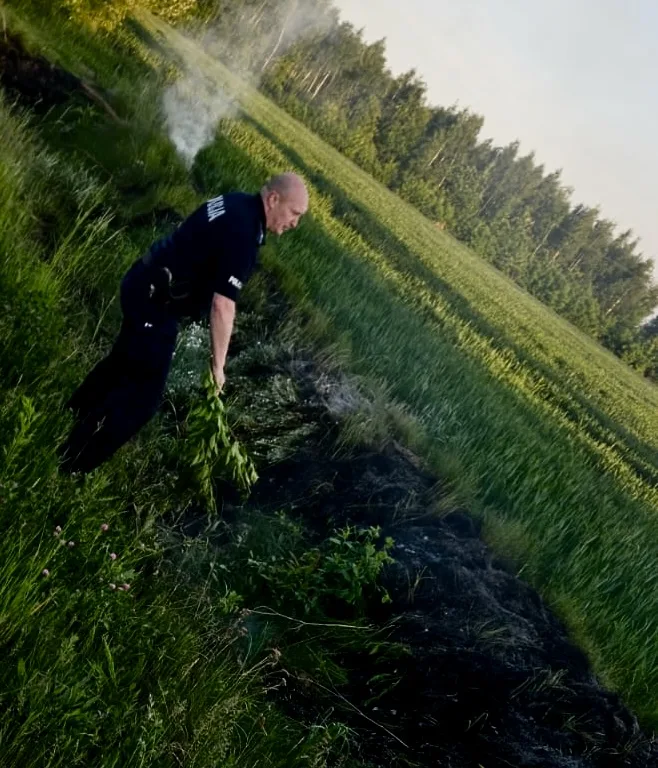 Interwencja policji w sprawie pożaru trawy